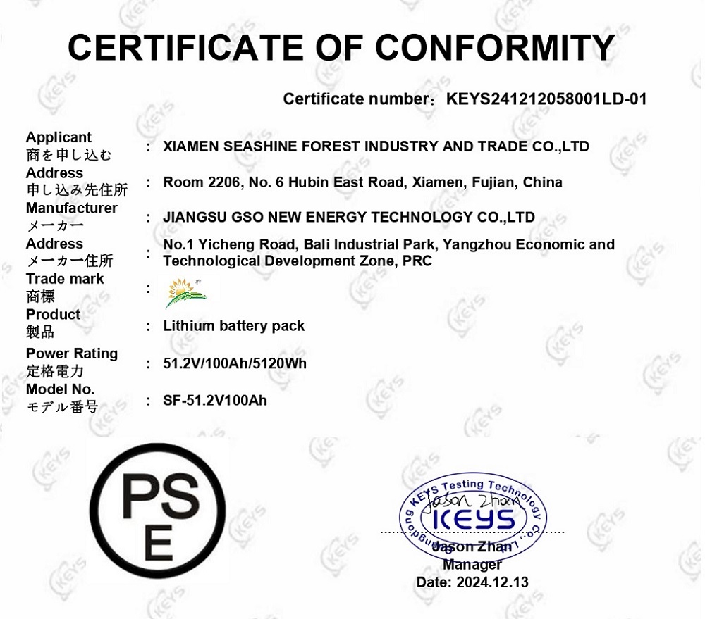 KEYS241212058001LD-01+LiFePO4 battery J62133+Certificate